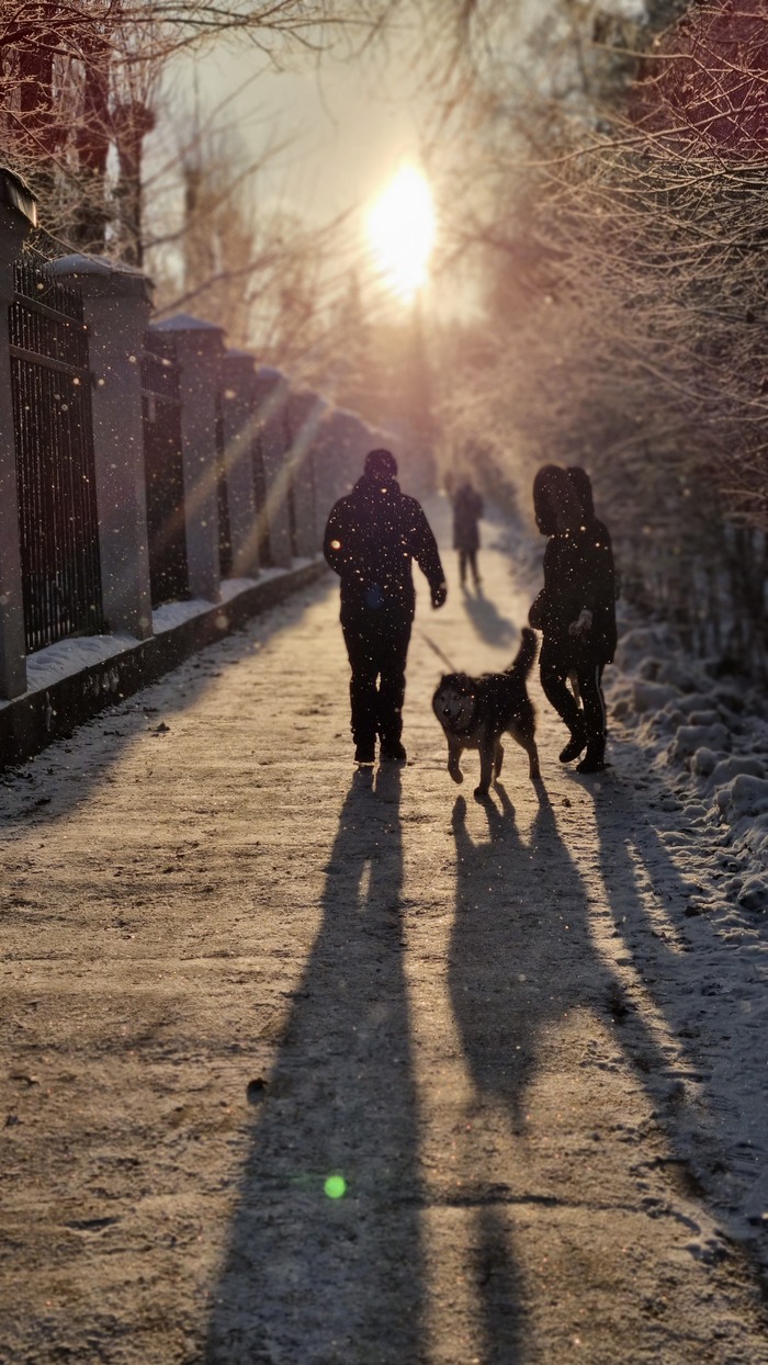 Зимнее утро