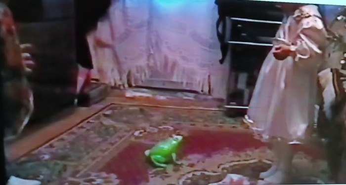 Ищу игрушку