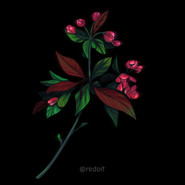 �������� �����