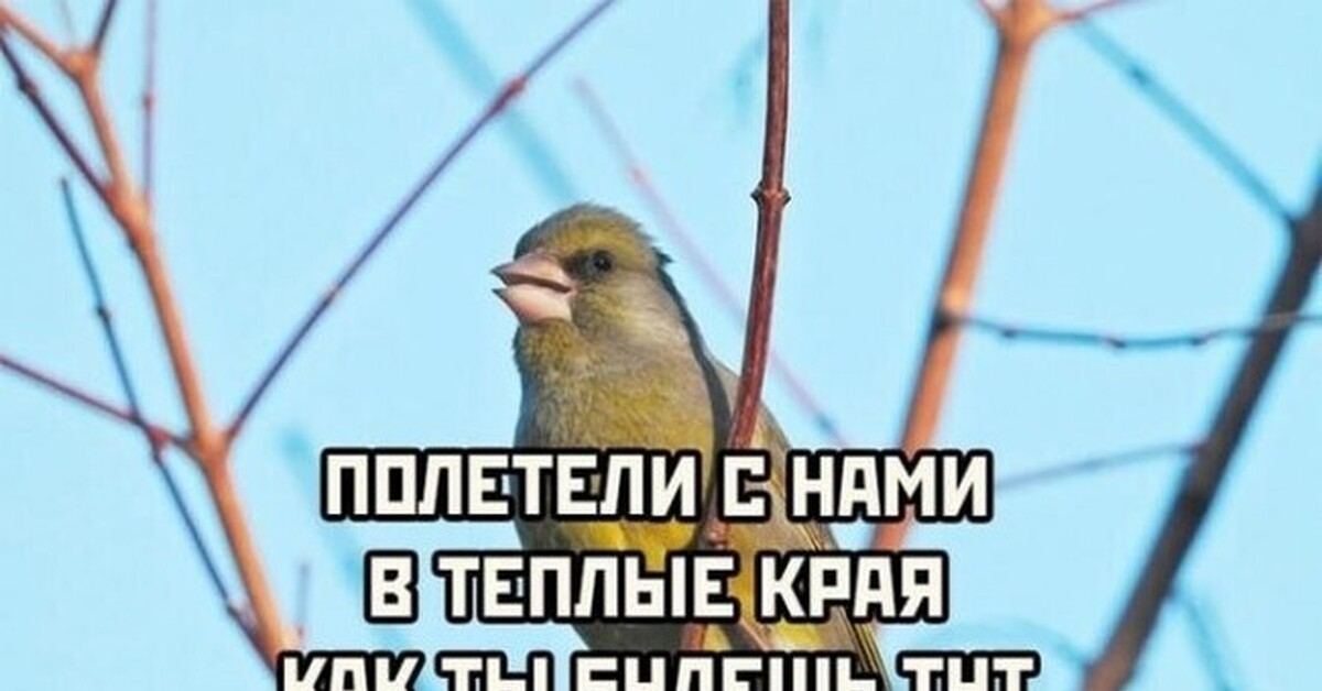 Сугрев | Пикабу