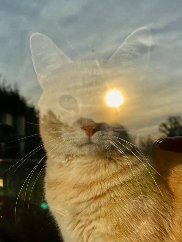 ��� �� ���