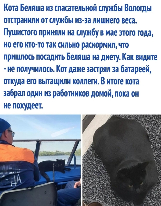 Приняли на службу...