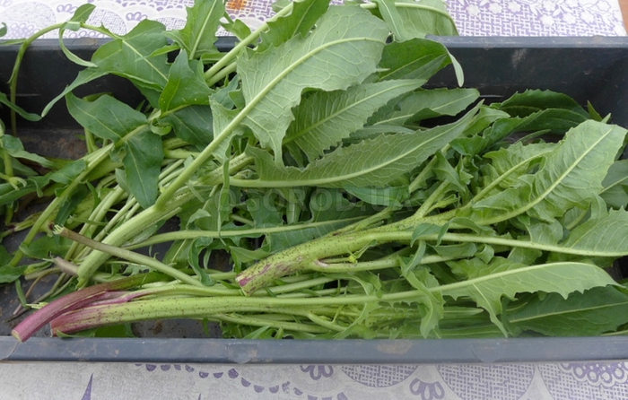  (  "" ).  !      .    -?  ?