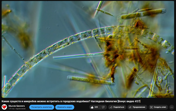 Ролик про микроорганизмов