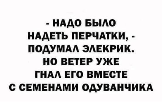 ���� ���� ��������������