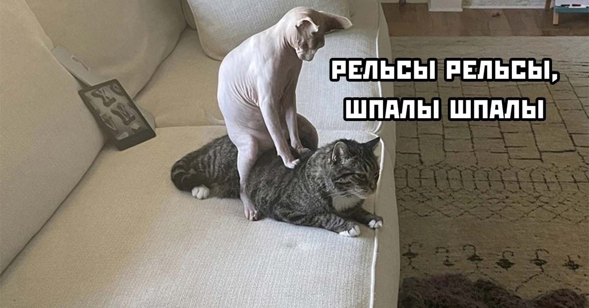 Приколы массаж