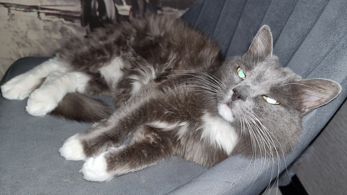 ����� ����