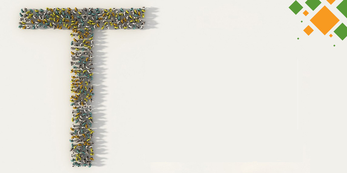 I-shaped специалист. T-shape развитие. Кто такой специалист. T-shaped люди. Т образный человек.