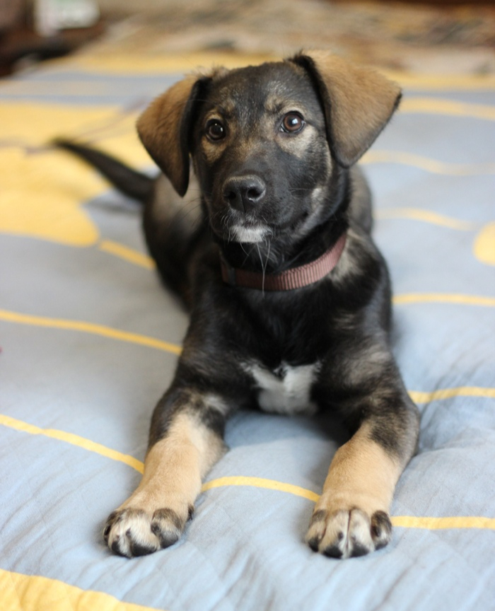 ������� ���, ��������� �� ������������ ���� ������ ��� ��������� ������. ����������, ��� �� ���������, ����� ��� �������� �����!