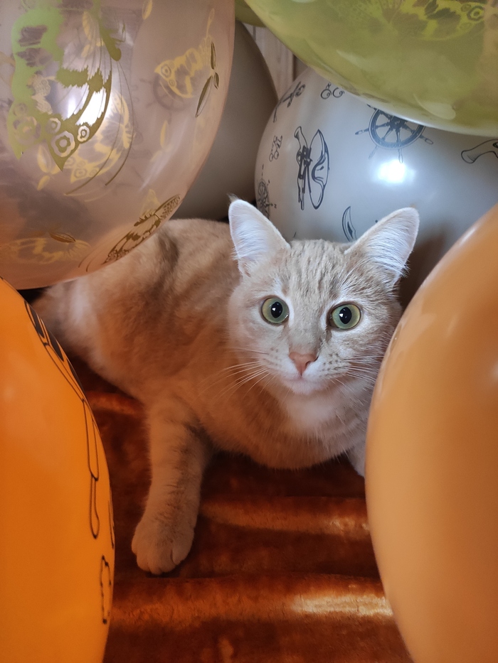 �������� ������