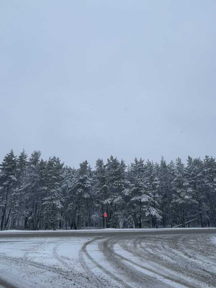 Одинокий светофор