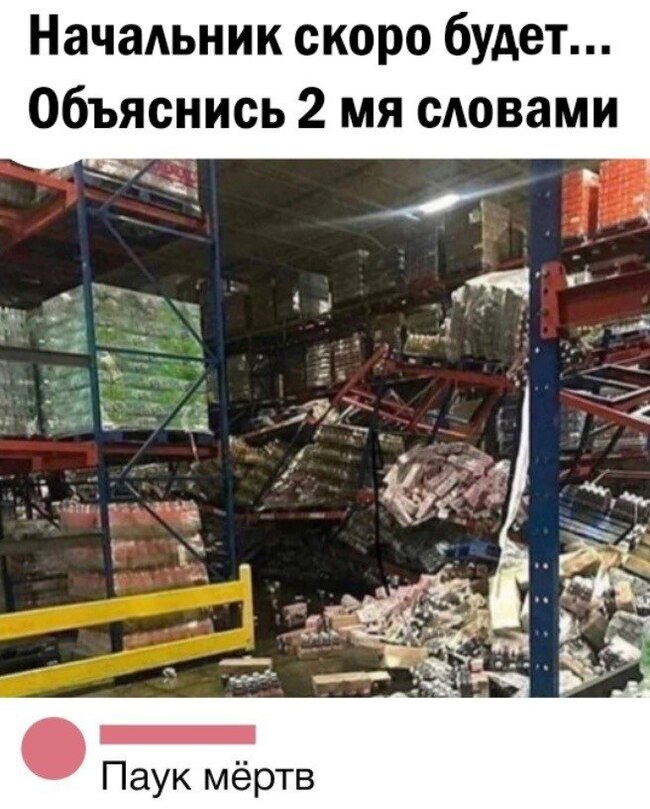 ���� ��������: