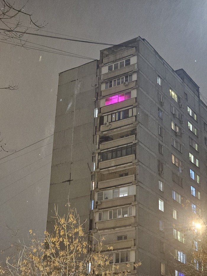 ������ ��������