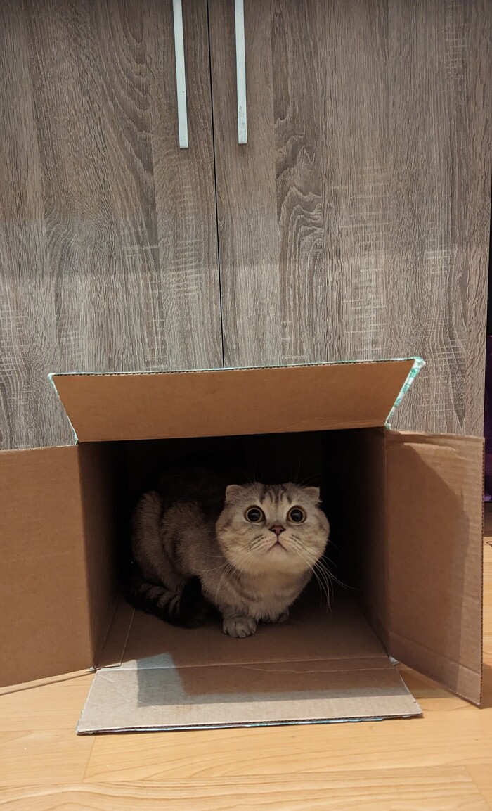 Коробка занята.