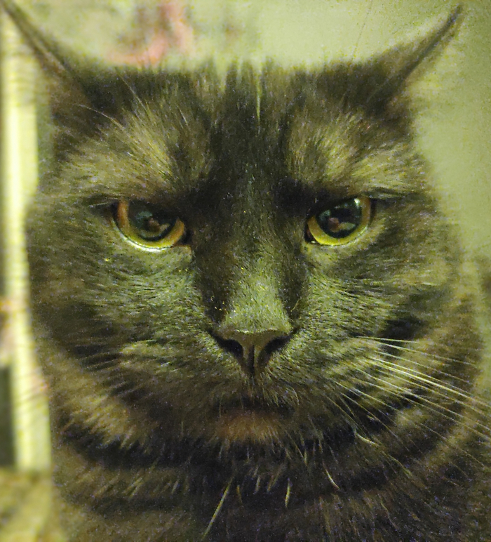 Будто у вас фото в паспорте симпатичнее.