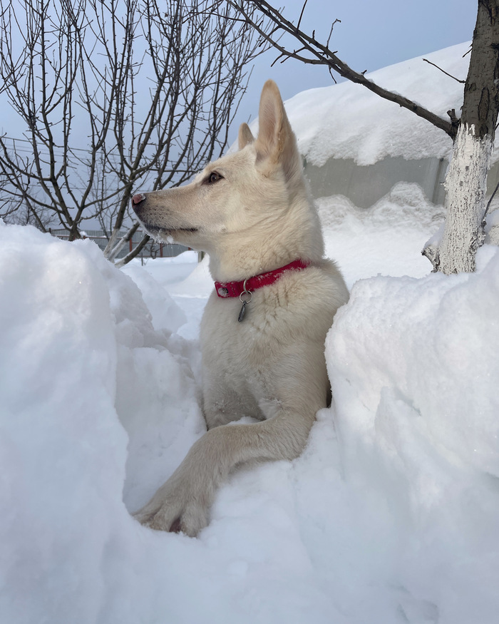 Продолжение снежной прогулки
