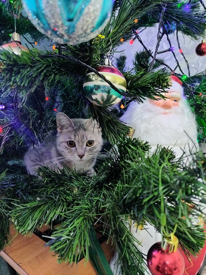 � ������������ ������ ���� ������!