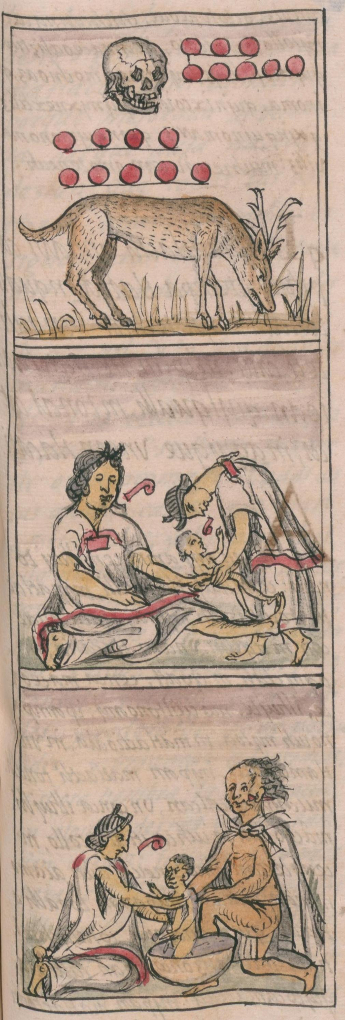 Флорентийский кодекс