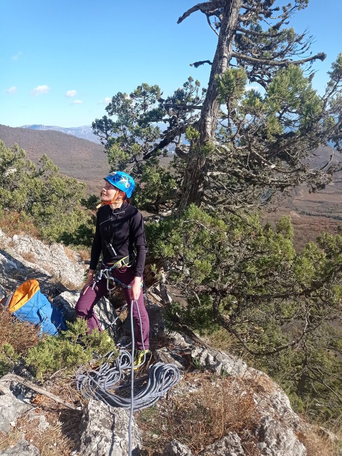 Станция R0 на характерном дереве и удобной полке