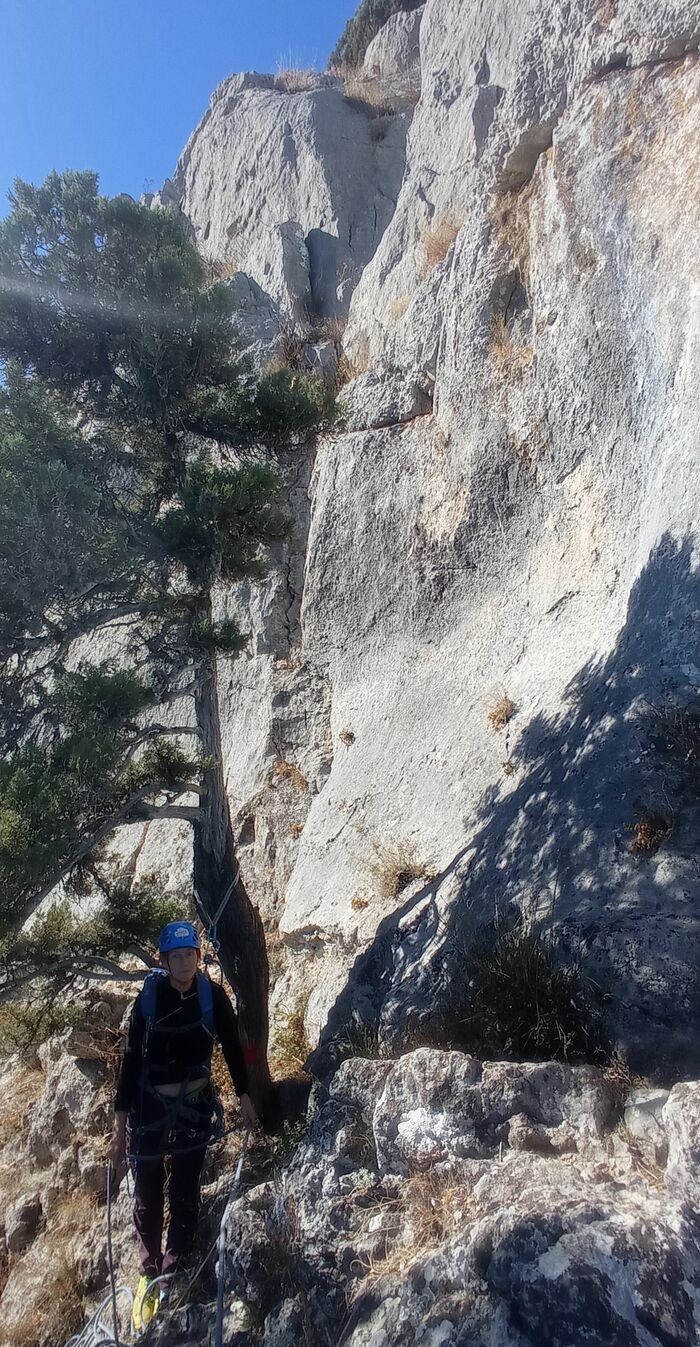 Станция R4 на дереве