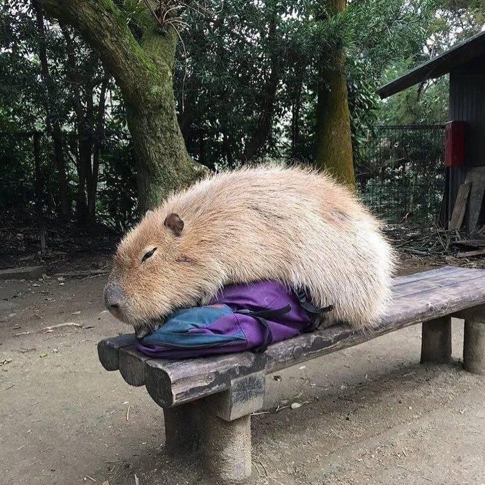 ������ �� ��������� �������?