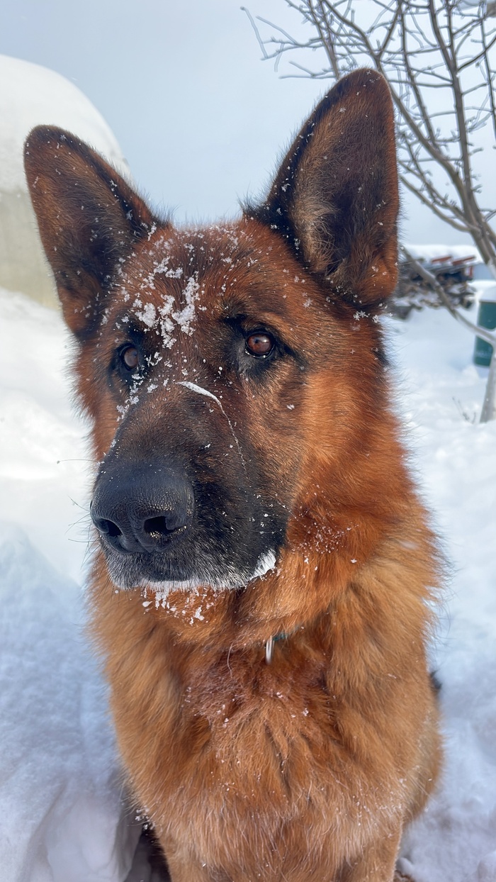 ������� ��������