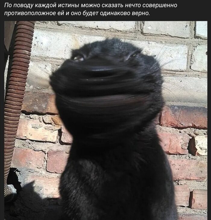 # Стэтхэмовое