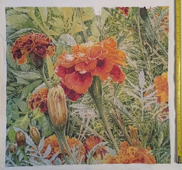 Бархатцы – 3/5 (или 60%)