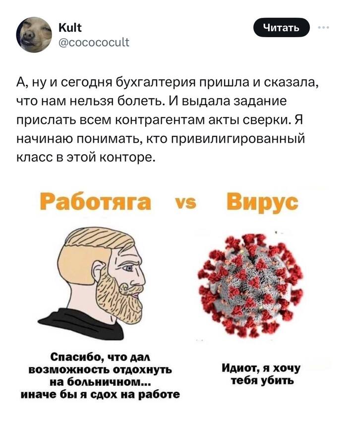 Слышь, не болей, декабрь сам себя не отработает