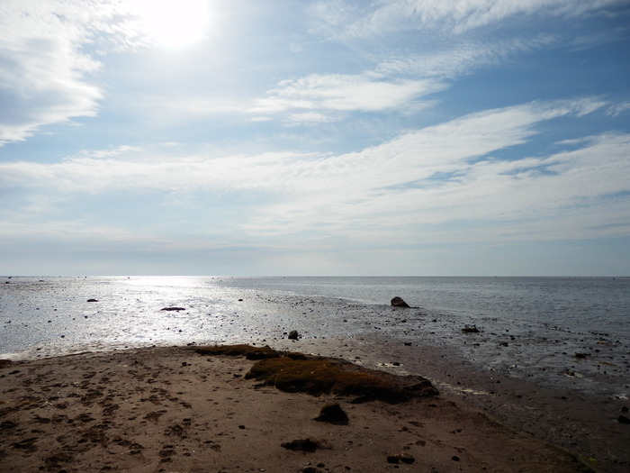 ����� ���� ������� �� ������. ���� ������