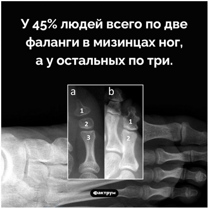 Интересные и удивительные факты обо всем (52-я очередная подборка) | Пикабу
