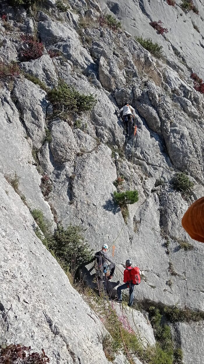 Движение от R2 к R3. Вид от станции на можжевельнике.