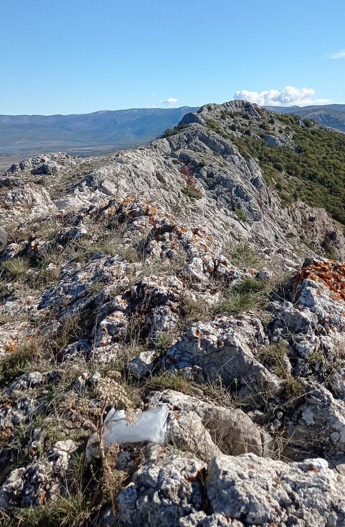 Спуск с маршрута на восток вдоль гребня