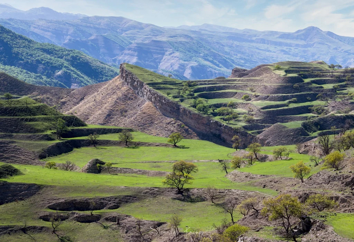       ,              XIX      ,   ,     