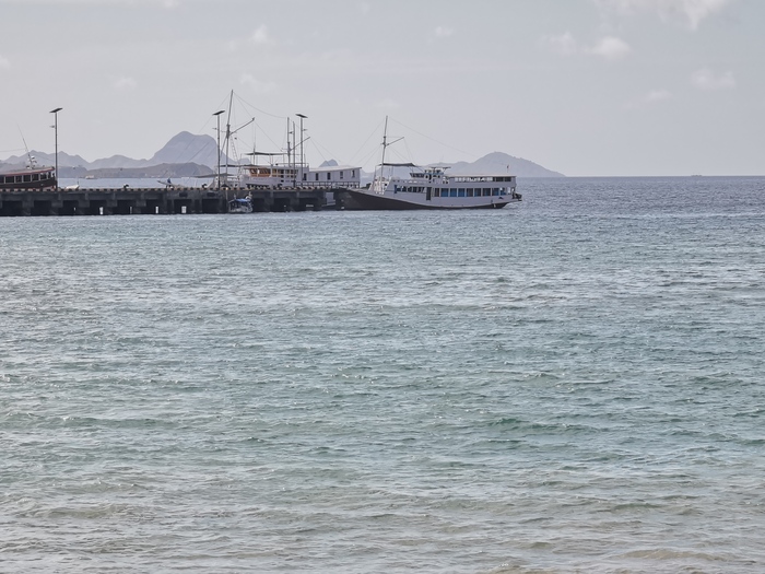 ��� ���� ���������