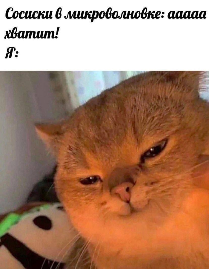 Закончим, когда я скажу Юмор, Картинка с текстом, Мемы, Кот, Сосиски, Telegram (ссылка)