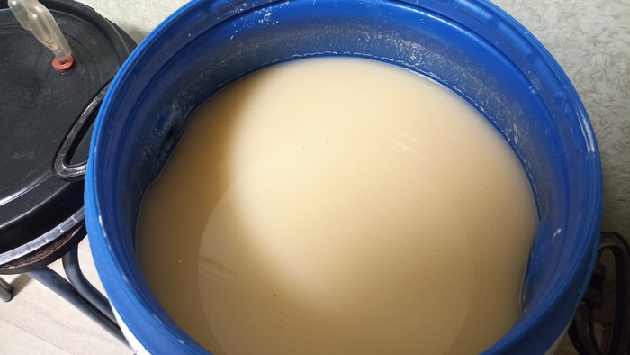 Самогон из этого получится дешевле и лучше чем из сахара