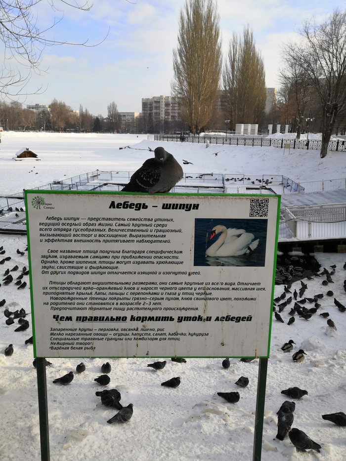 ���-�� ��� ����������