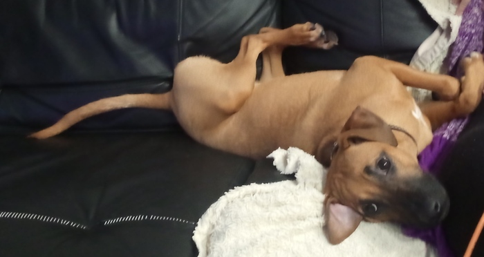 �� ���� ��������� ��������� � ������������� �����������, ��������� � ���� ����� ��������)))). 