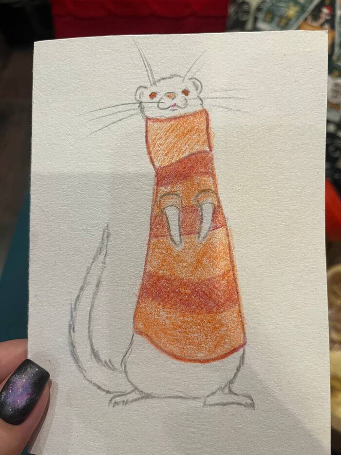 АДМ Санкт-Петербург - Владимир (2023/2024)