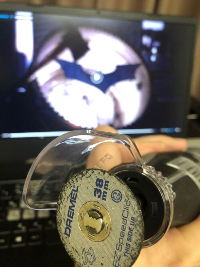 ���� ������