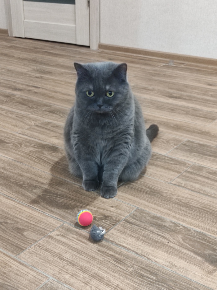 АДМ 2023/2024 Санкт-Петербург - Саратов