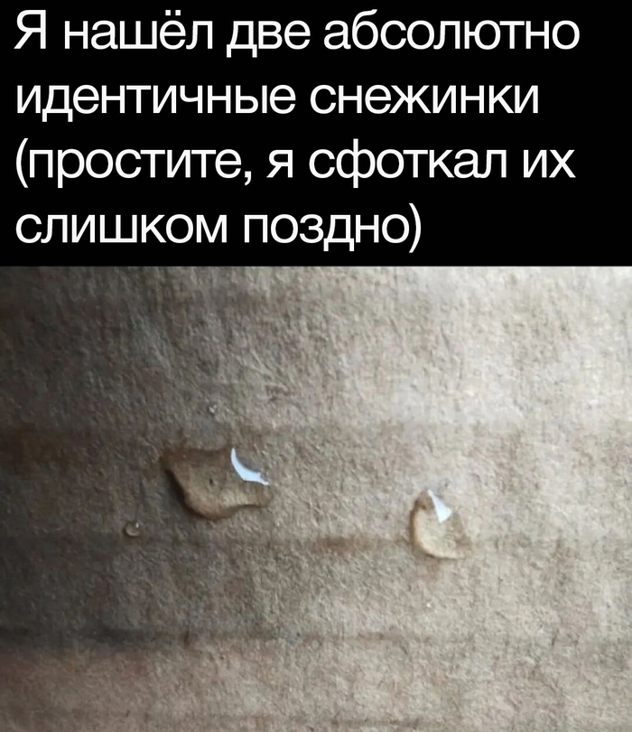   ,   , , ,  , Telegram ()