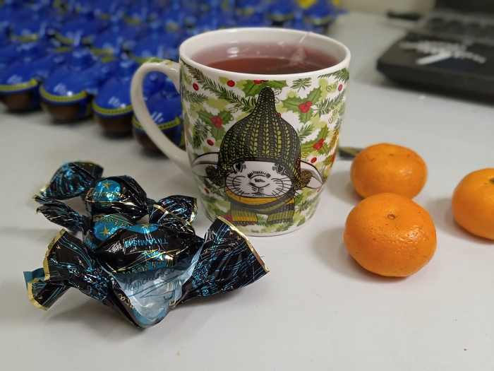 АДМ 2023/2024 Санкт-Петербург - Санкт-Петербург