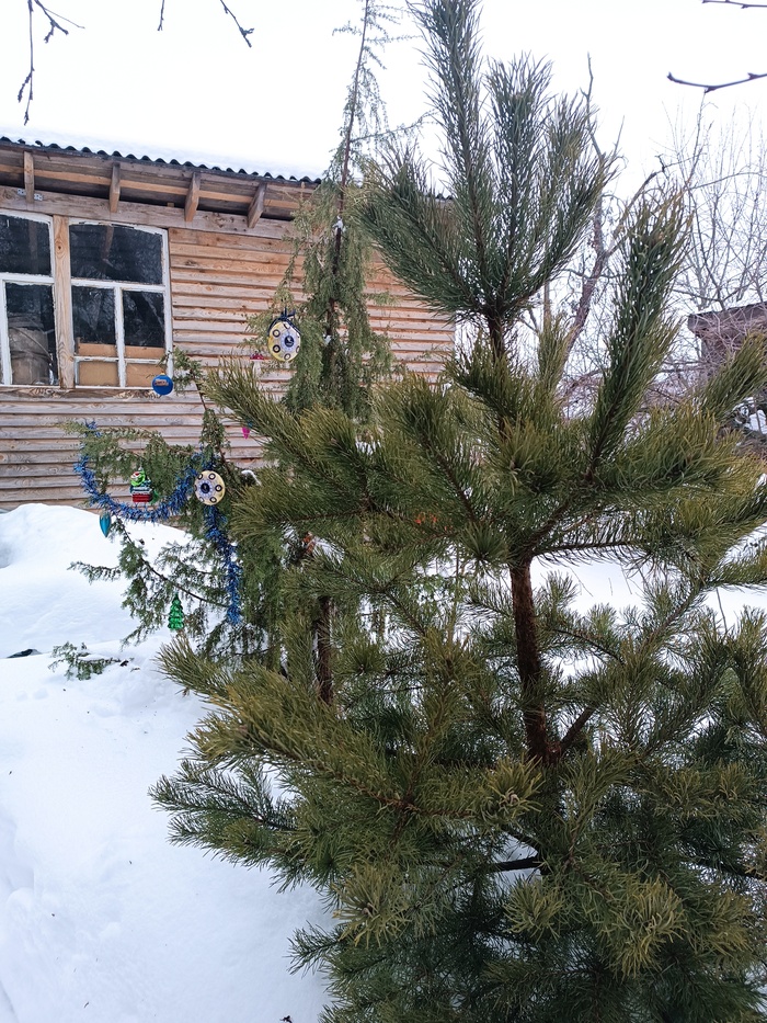 ������� ���� �� ����� �� ����.