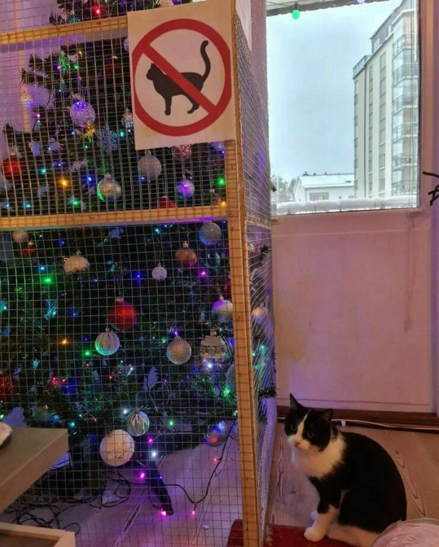  ! ,  ,  ,  