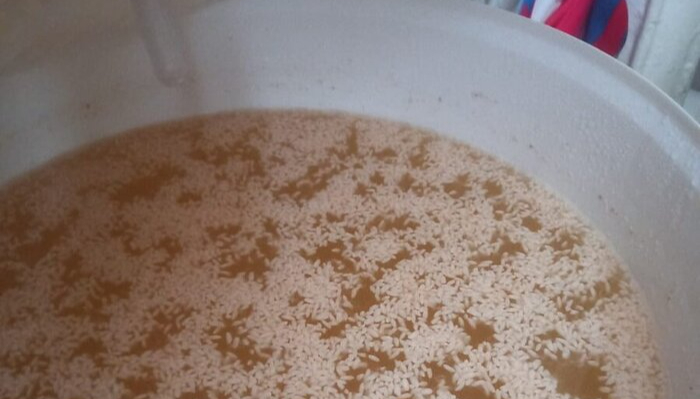 Самогон из риса. Для тех, кто хочет попробовать что-то интереснее самогона из сахара