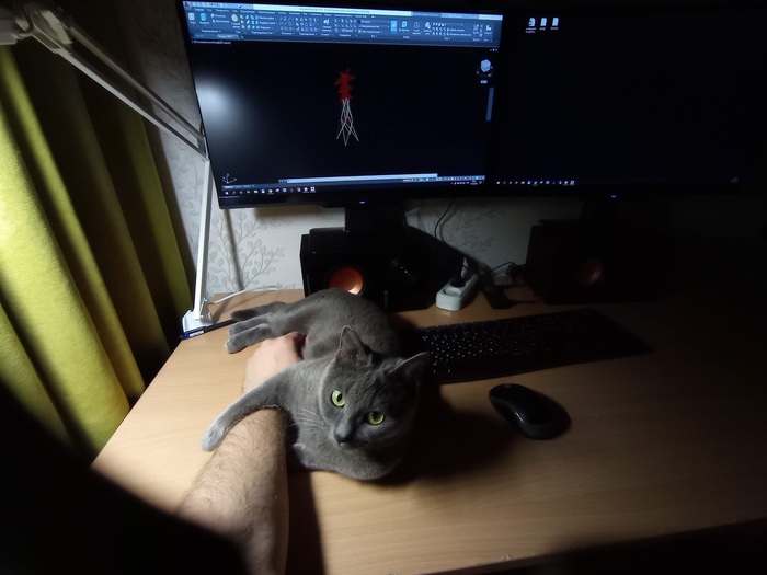 В одной руке - мышка, в другой - кошка