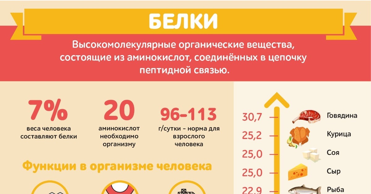 Белки 5 класс. Структура белка в организме человека. Белки биология 5 класс. Белок а 20. Белки картинки химия.