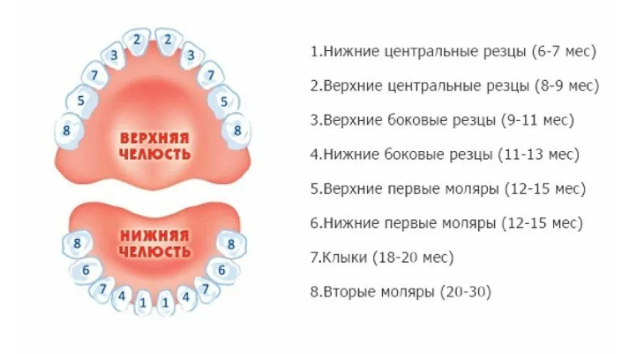 Как понять, что режутся зубы? | Пикабу